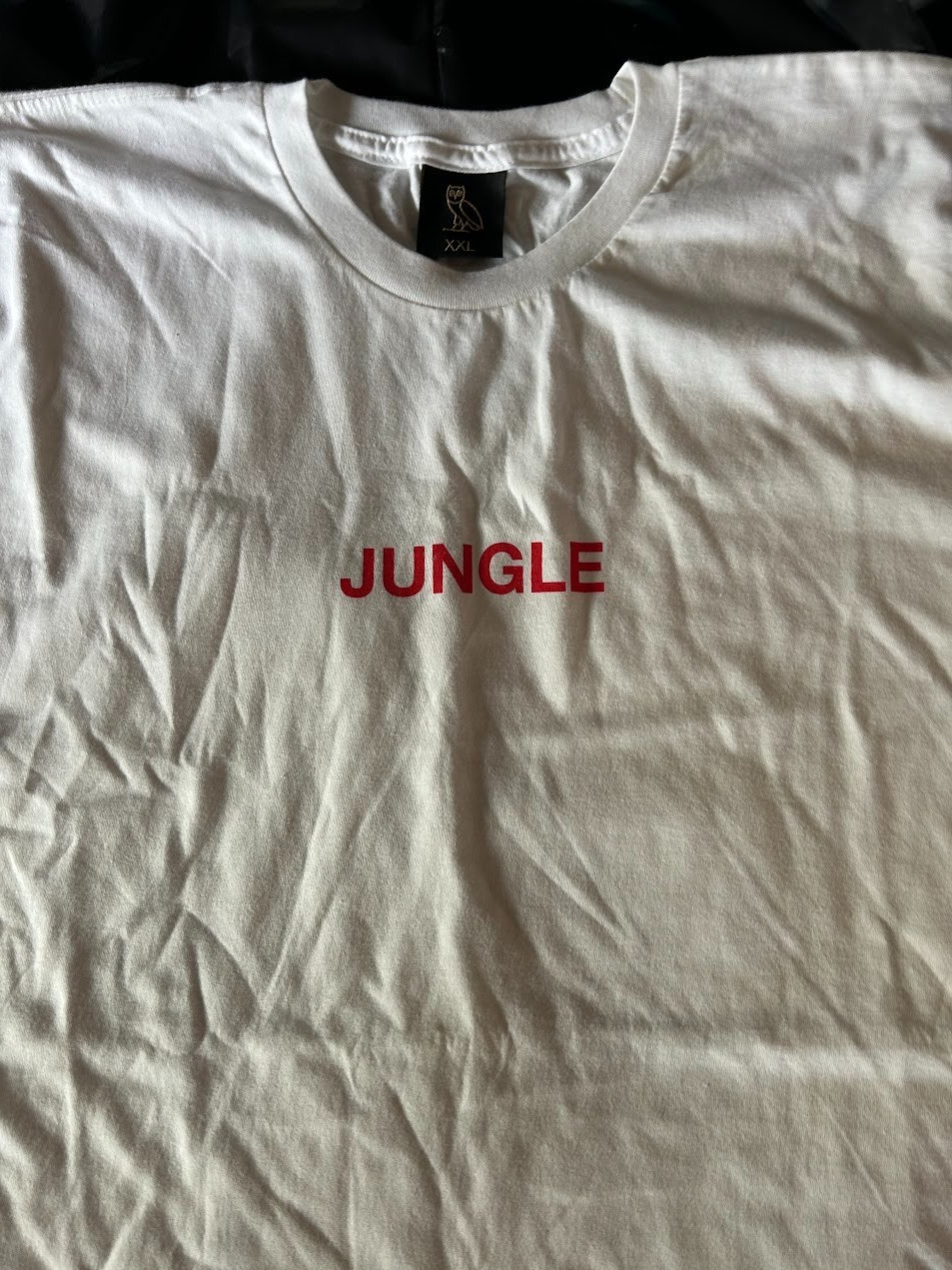 Drake T-Shirt XXL Mens OUT OF PRINT RARE MERCH (The Jungle)