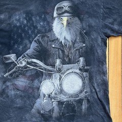 Vintage Black and Grey Eagle Biker Tee Y2k Graphic T-Shirt Men Sz – Large
