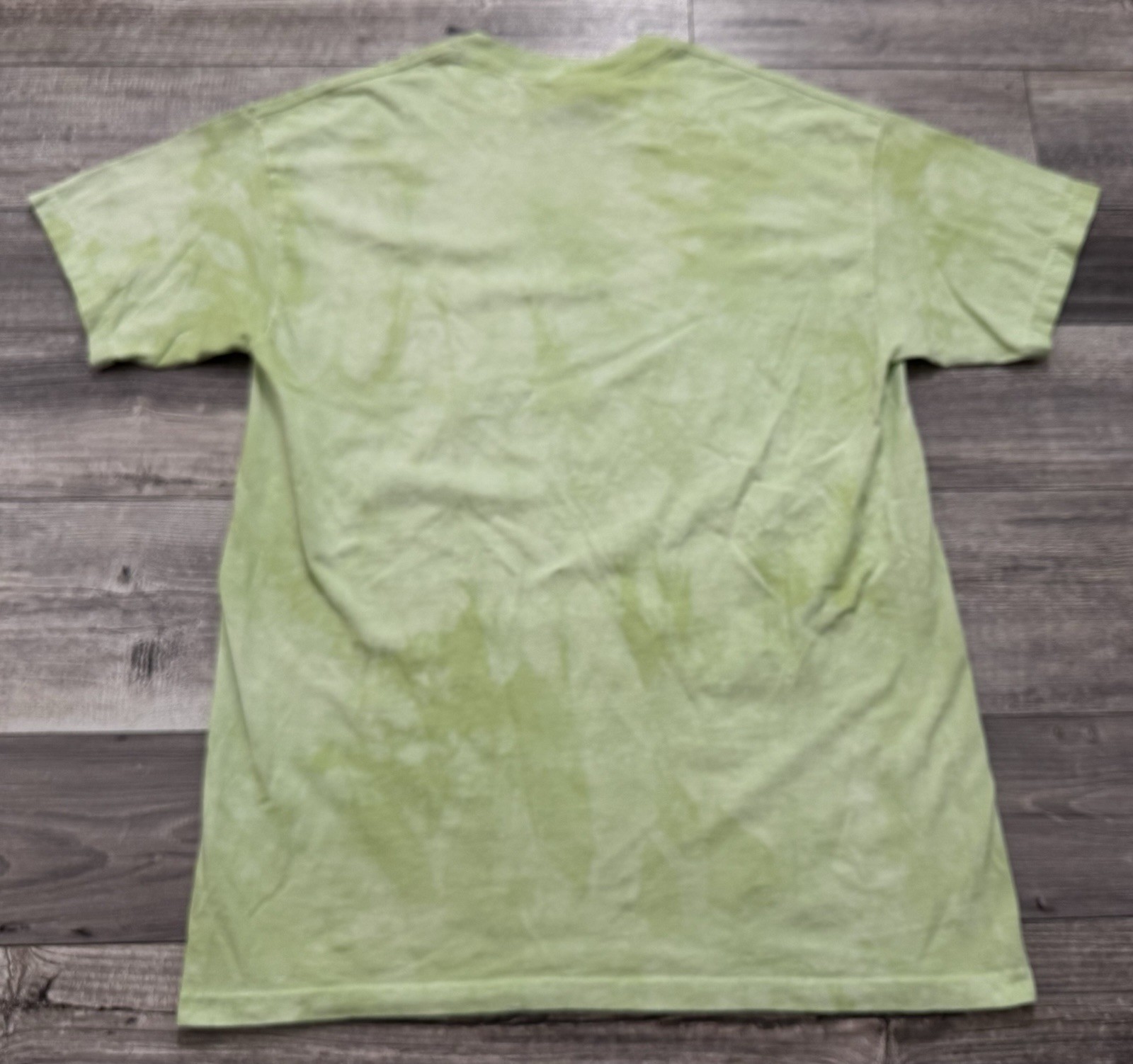 The Mountain Dragonfly Shirt Adult Large Green Tie Dye 2009 Y2K Retired Logo gallery