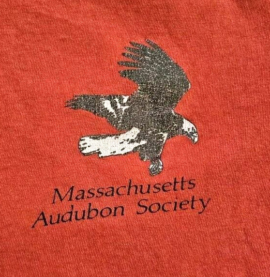 Vintage Massachusetts Audubon Society Eagle T-Shirt 80s 90s Single Stitch Red gallery