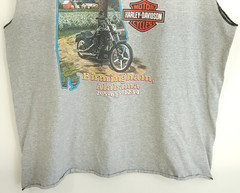 Birmingham AL Riders Harley Davidson Graphic T-Shirt Men’s XXL Gray Sleeveless