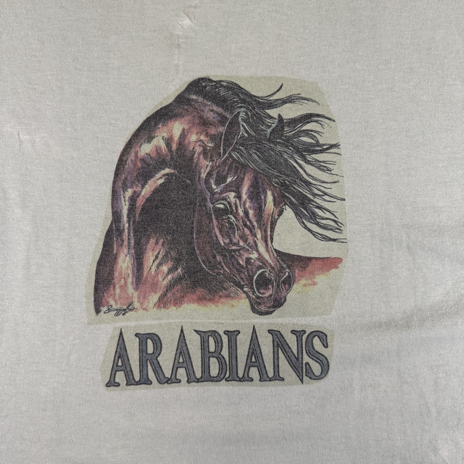 Anvil T-Shirt Men's XL Mint Green Arabians Horse Nature Animal 100% Cotton gallery