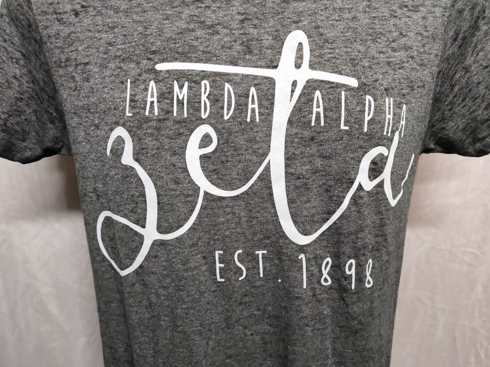 Lambda Alpha Zeta est 1898 Adult Small Gray TShirt gallery