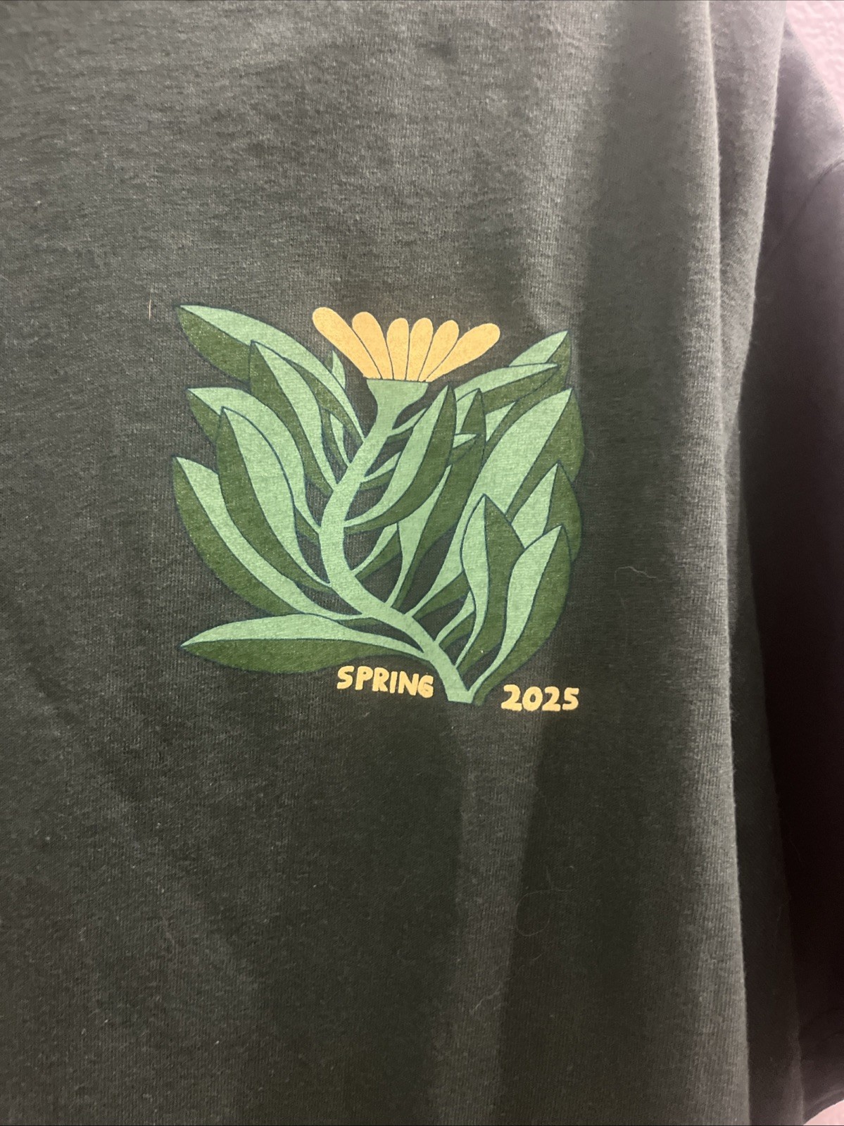 American Apparel 1301 Spring 2025 Phish T Shirt New Size XL gallery