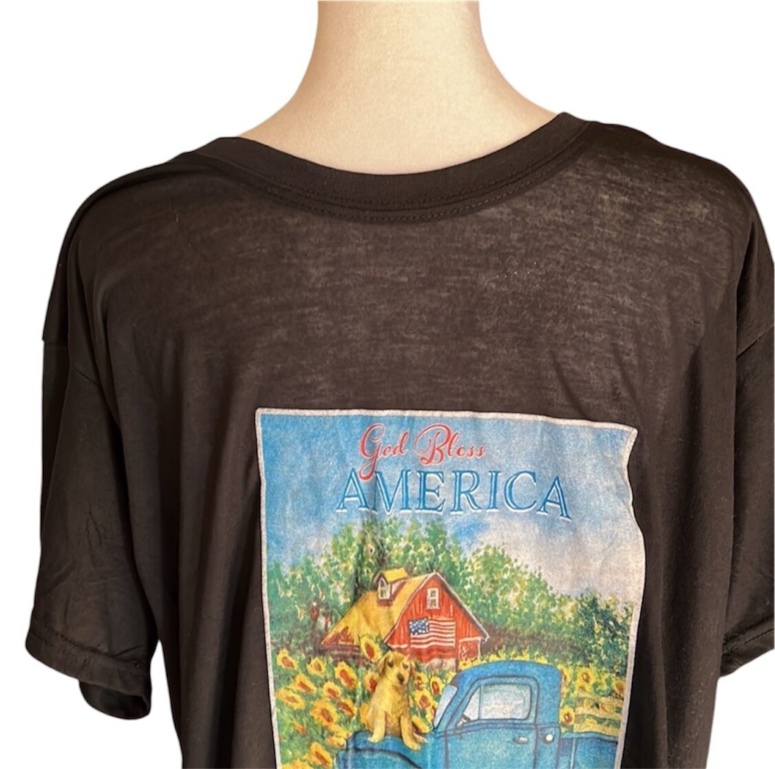 God Bless America Men's Graphic Print Semi Sheer T-Shirt Black Size L gallery