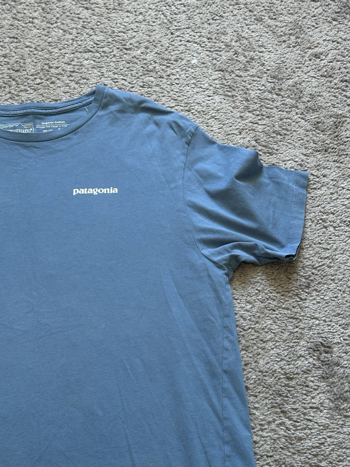 Patagonia Mens Blue Cotton Jersey Double-Sided Graphic Logo Tee Crew Neck M gallery