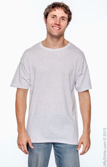 Hanes 5170 – 50/50 Ecosmart Short Sleeve Tee – Ash Size Medium