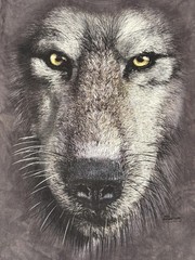 The Mountain Shirt Mens Small Wolf Face Graphic Tie Dye Gray Nature Animal