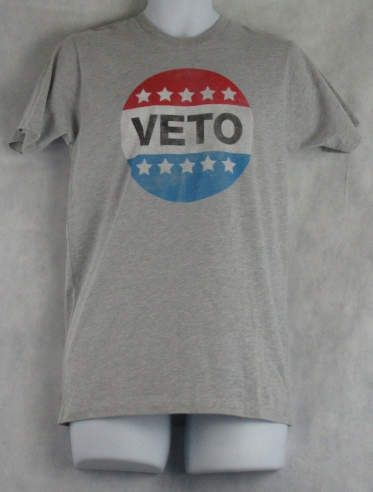 Goodie Two Sleeves Young Men's Veto Politics Short-Sleeve T-Shirt, Gray, Small gallery