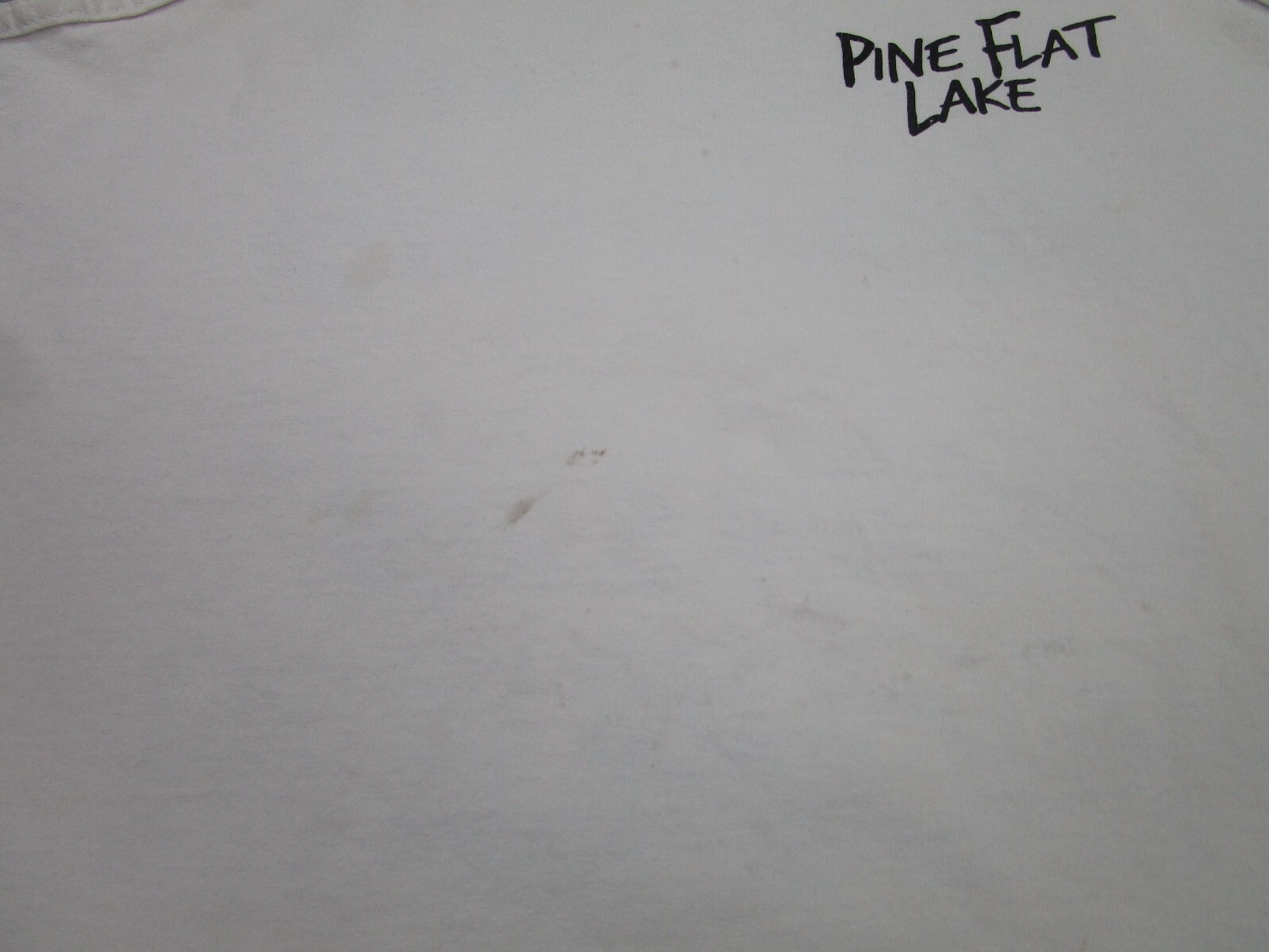 VINTAGE Pine Flat Lake Shirt Mens XL Grunge beer Fisherman Tank Top Boat Marina gallery