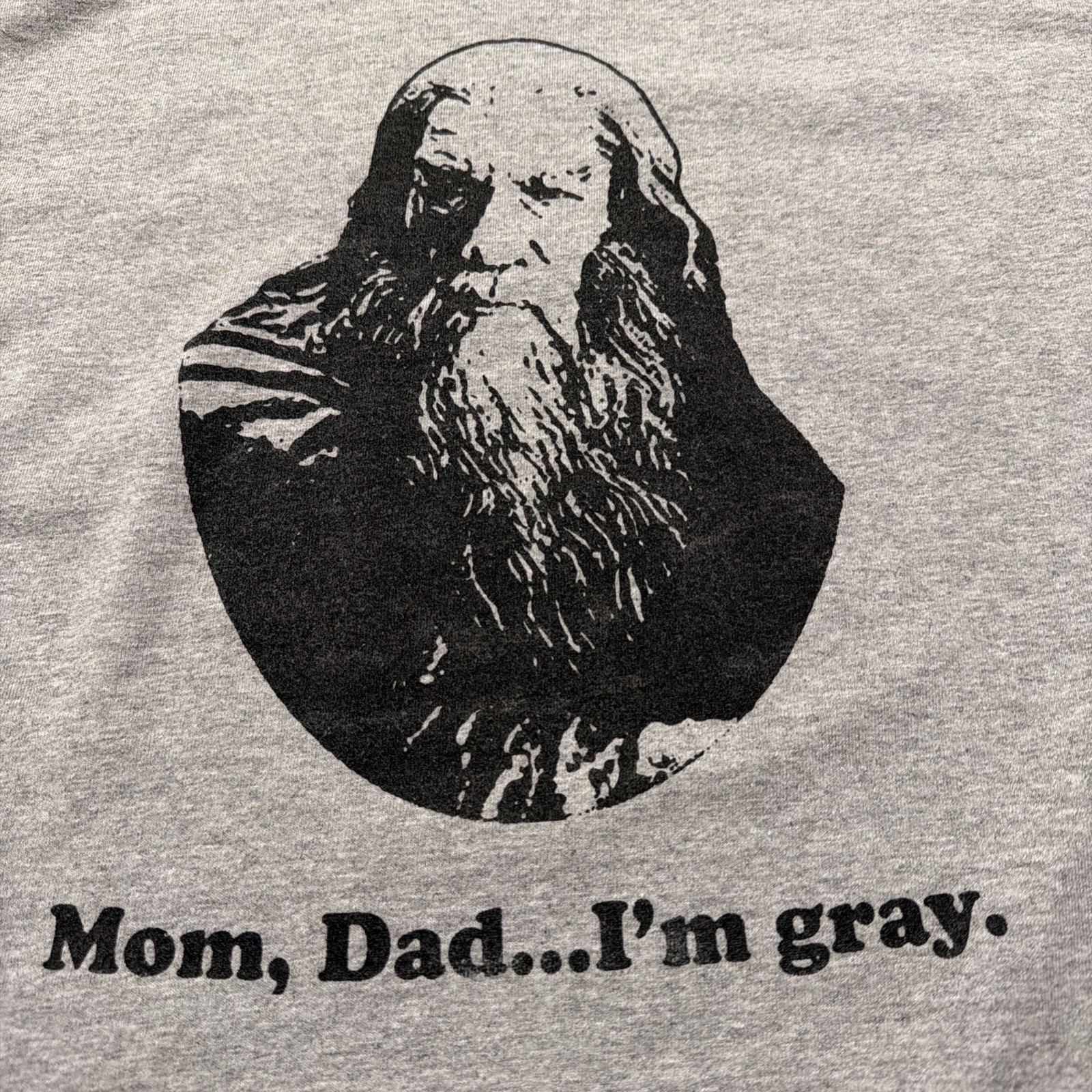 Gandalf Lord Of The Rings T Shirt JRR Tolkien gallery