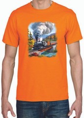 TRANSFER – TRAIN CROSSING – SPRING / WINTER