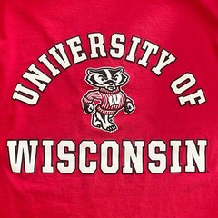 Champion Men’s Large University of Wisconsin Badgers Long Sleeve Red T-shirt
