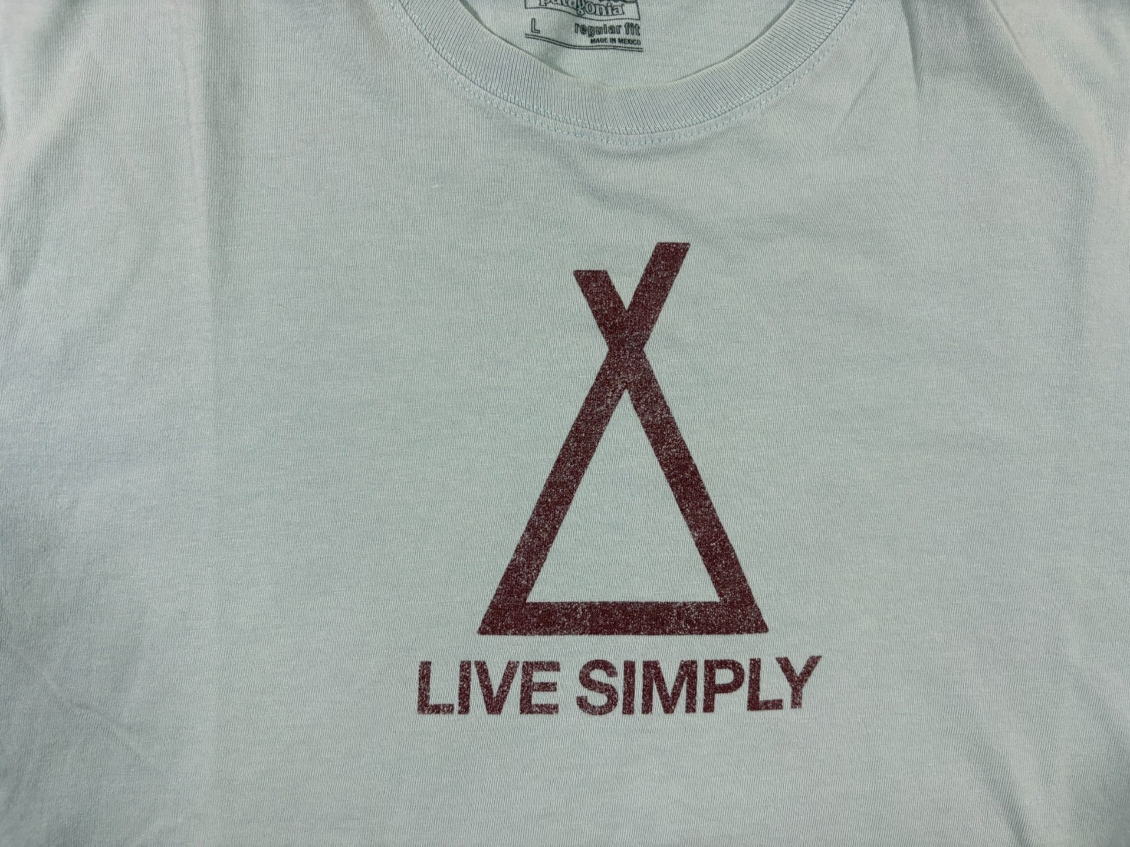 Patagonia Mens Live Simply Tent Life Short Sleeve Cotton T-Shirt Tubular Blue L gallery