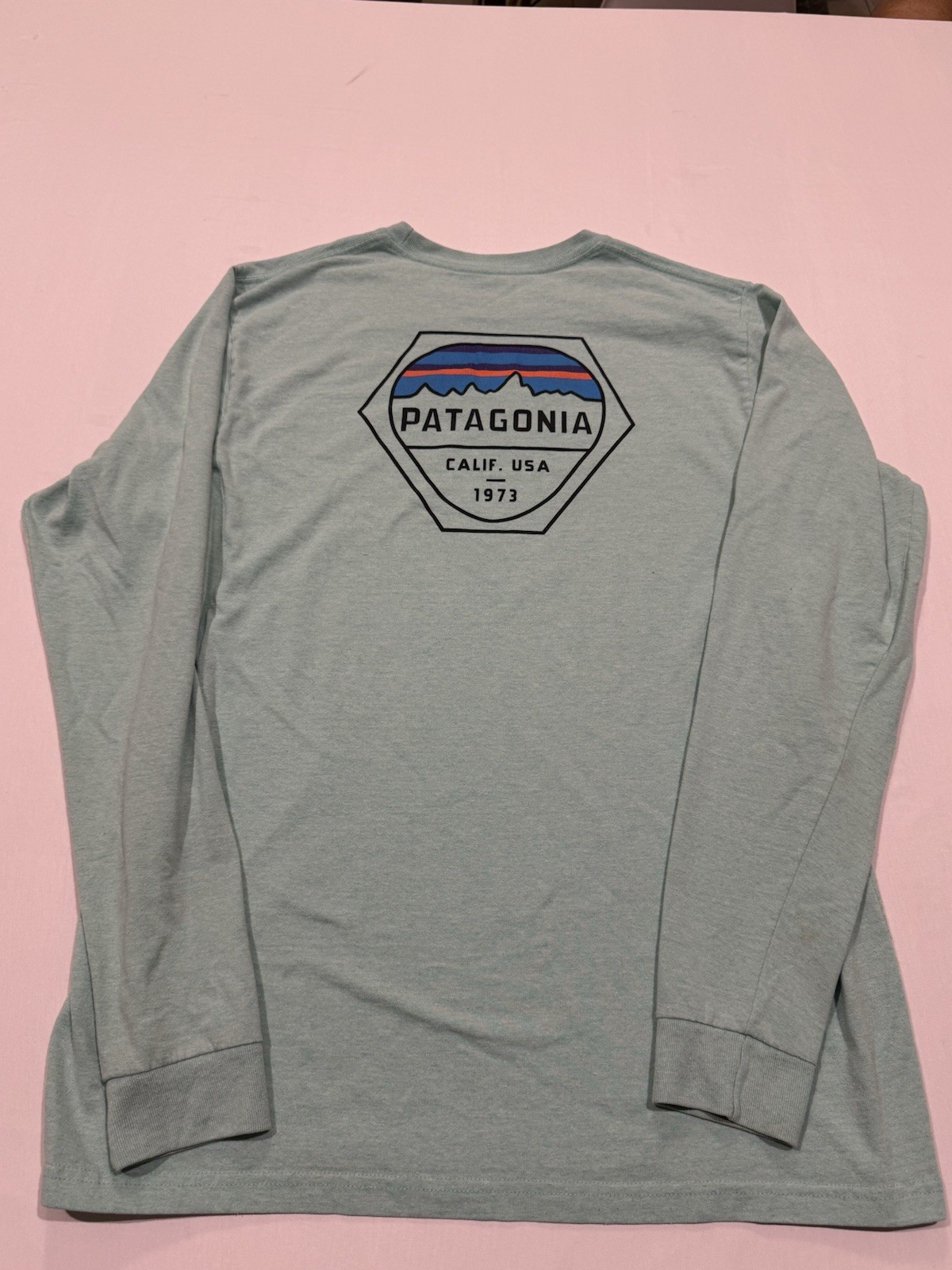 Patagonia Mens Long Sleeve Mint Green Graphic Regular Fit Size Large gallery