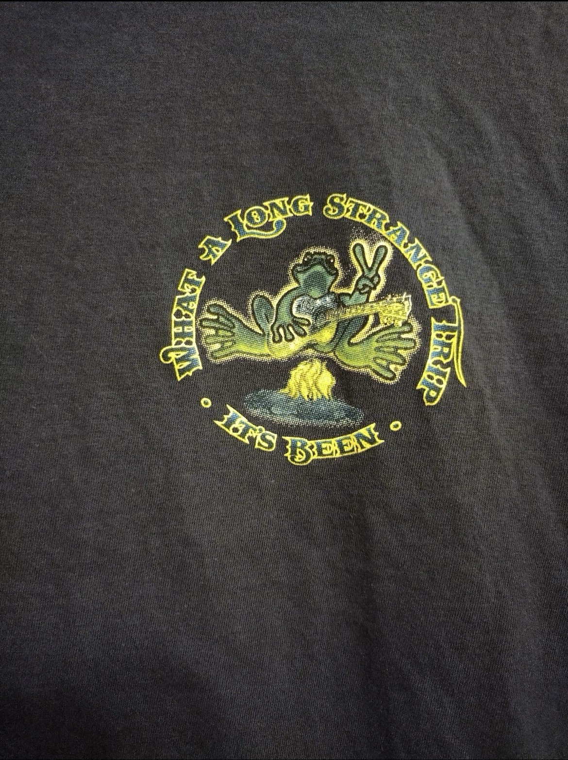 Peace Frogs What A Long Strange Trip It’s Been Shirt Medium Grateful Dead BG18 gallery