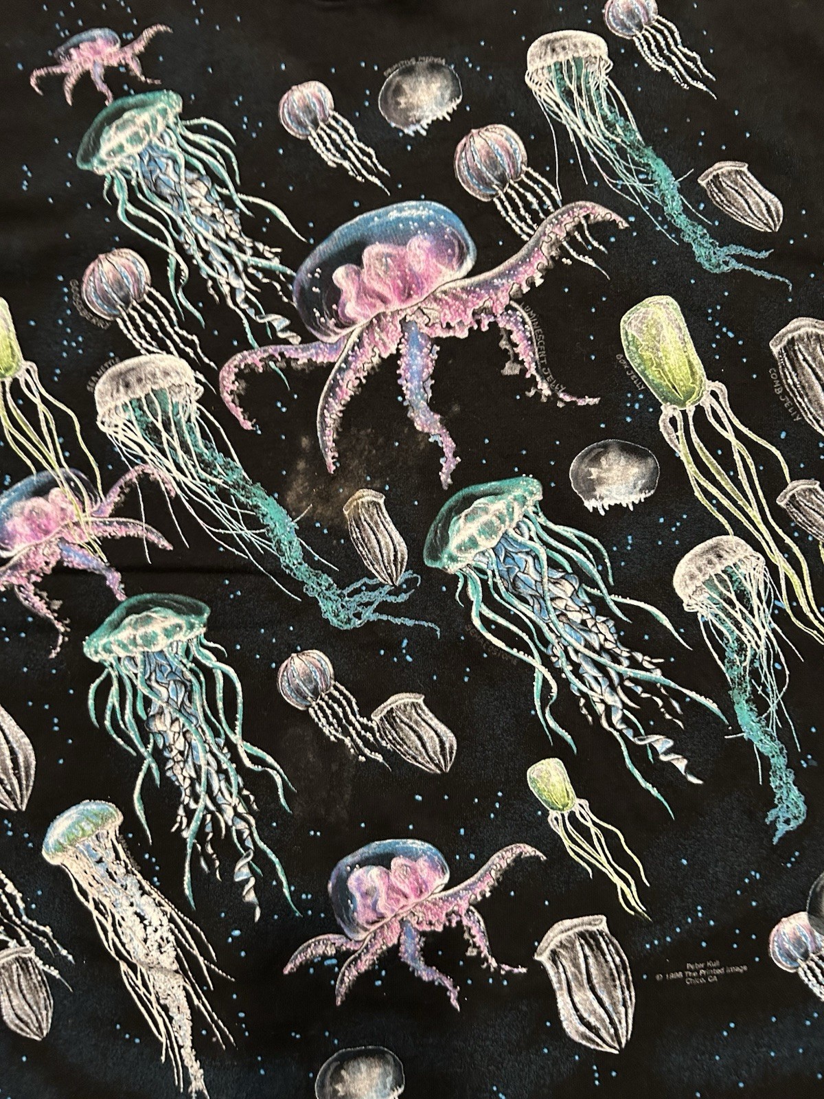 Vintage Jellyfish Species Swarm Shirt XL Fruit Of The Loom 1998 gallery