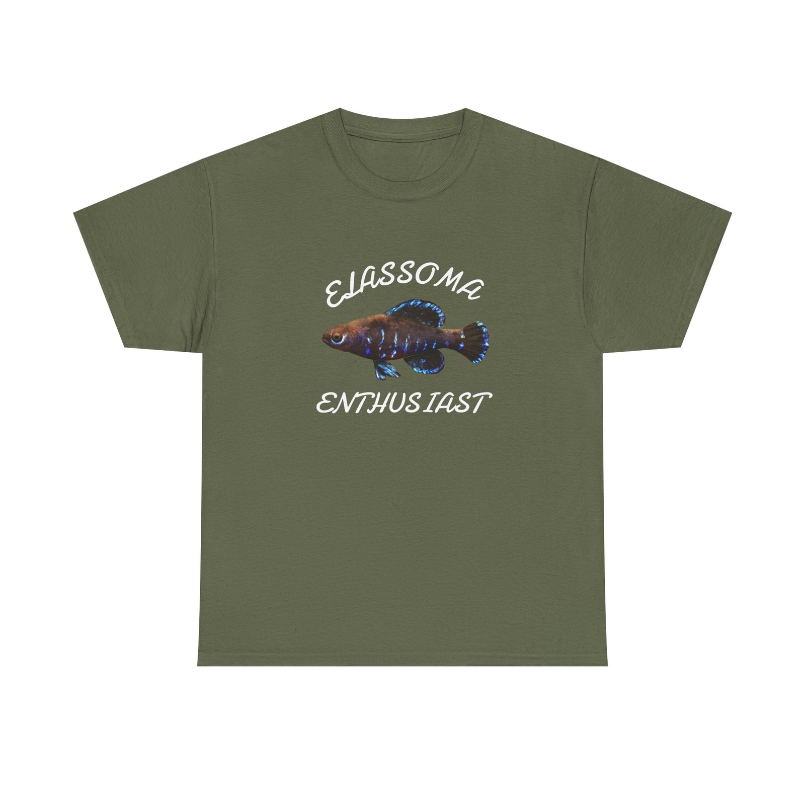 Grouper Fish Illustration T-Shirt | Marine Life Tee gallery
