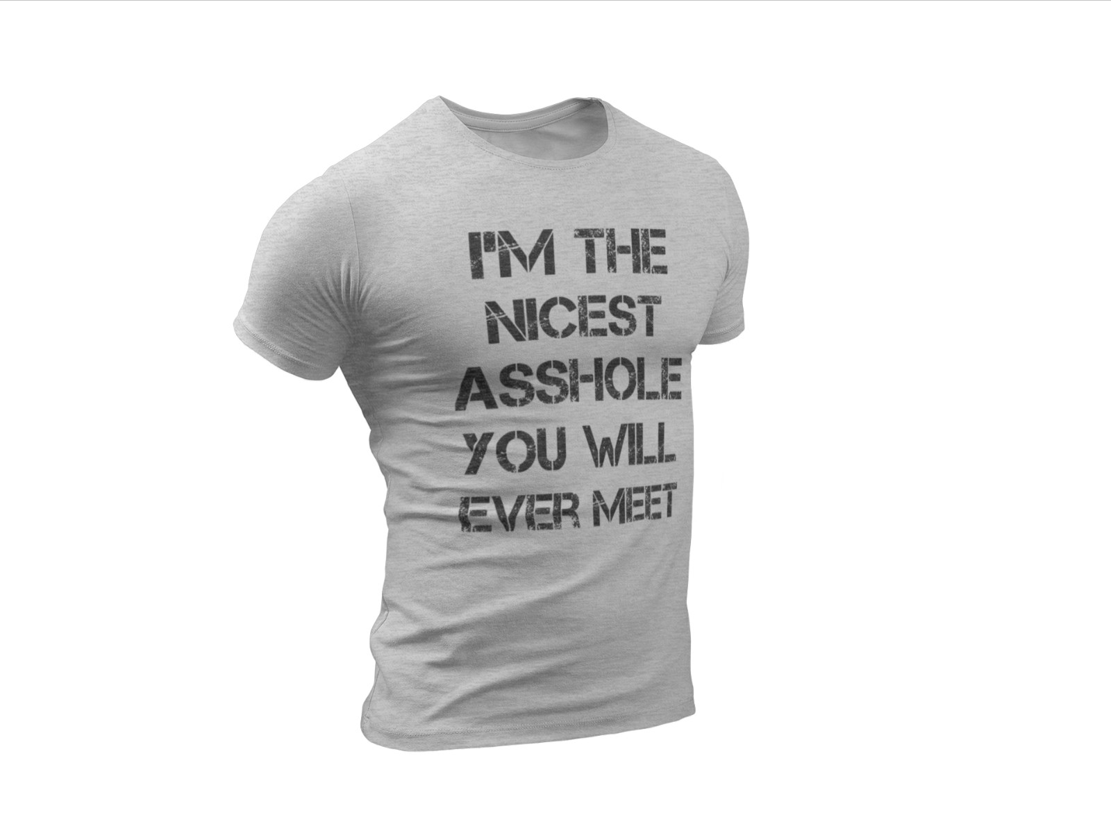 Offensive Shirt Rude Shirts Men Sarcastic T Shirt Funny Shirt Funny Tshirt Gifts gallery