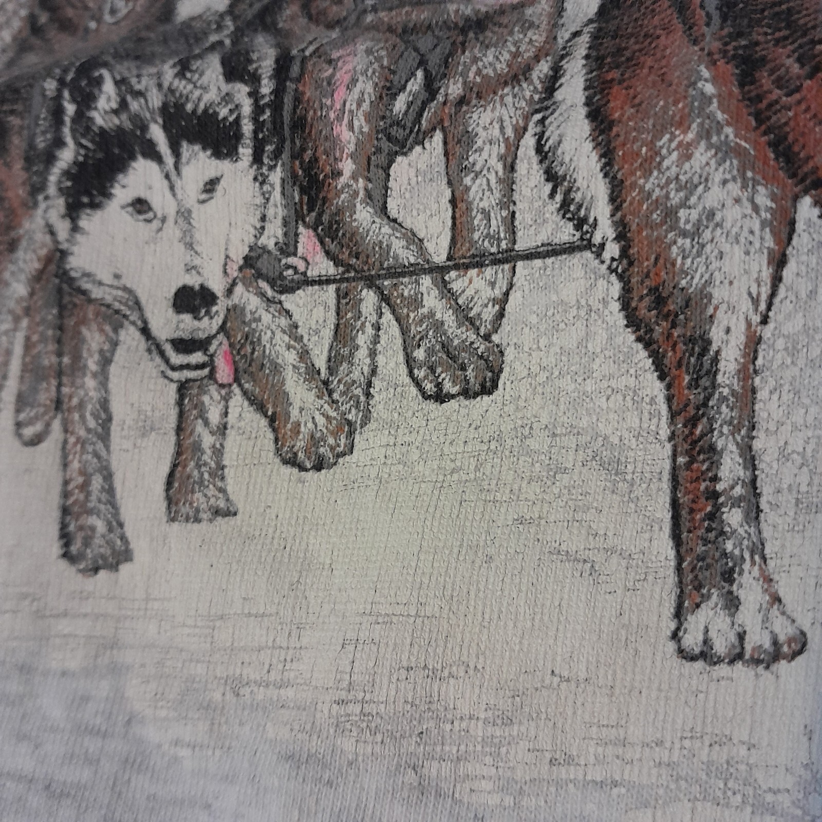 Vtg 90s Alaska Iditarod T-shirt Men Size L Large huskies sof tee teejays USA gallery
