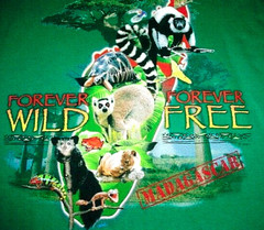 Madagascar Rainforest Forever Wild Forever Free Green T-Shirt Men’s Large