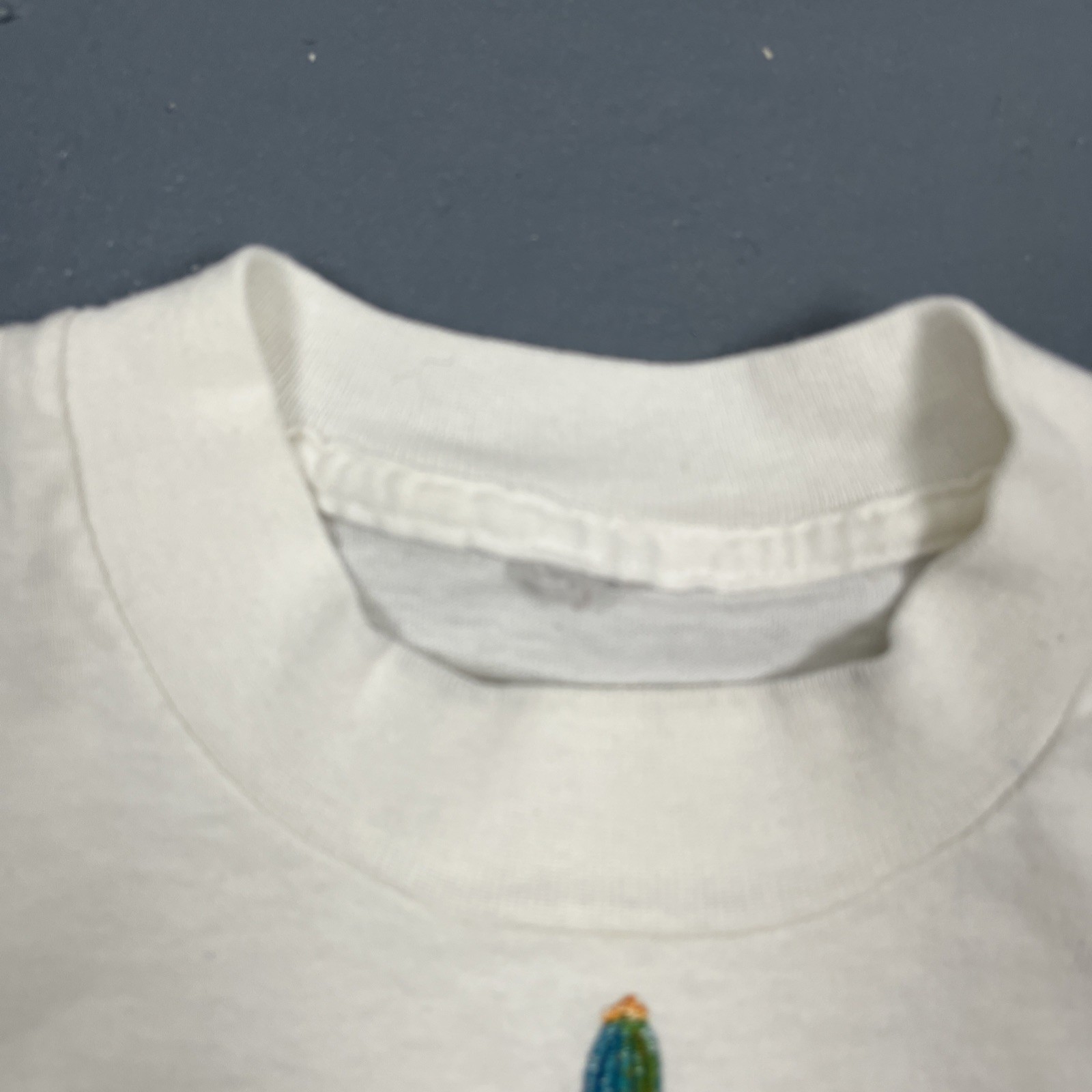 Vintage 90s Fort Worth Texas Single Stitch Tshirt White Medium Desert VTG USA gallery