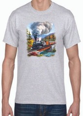 TRANSFER – TRAIN CROSSING – SPRING / WINTER