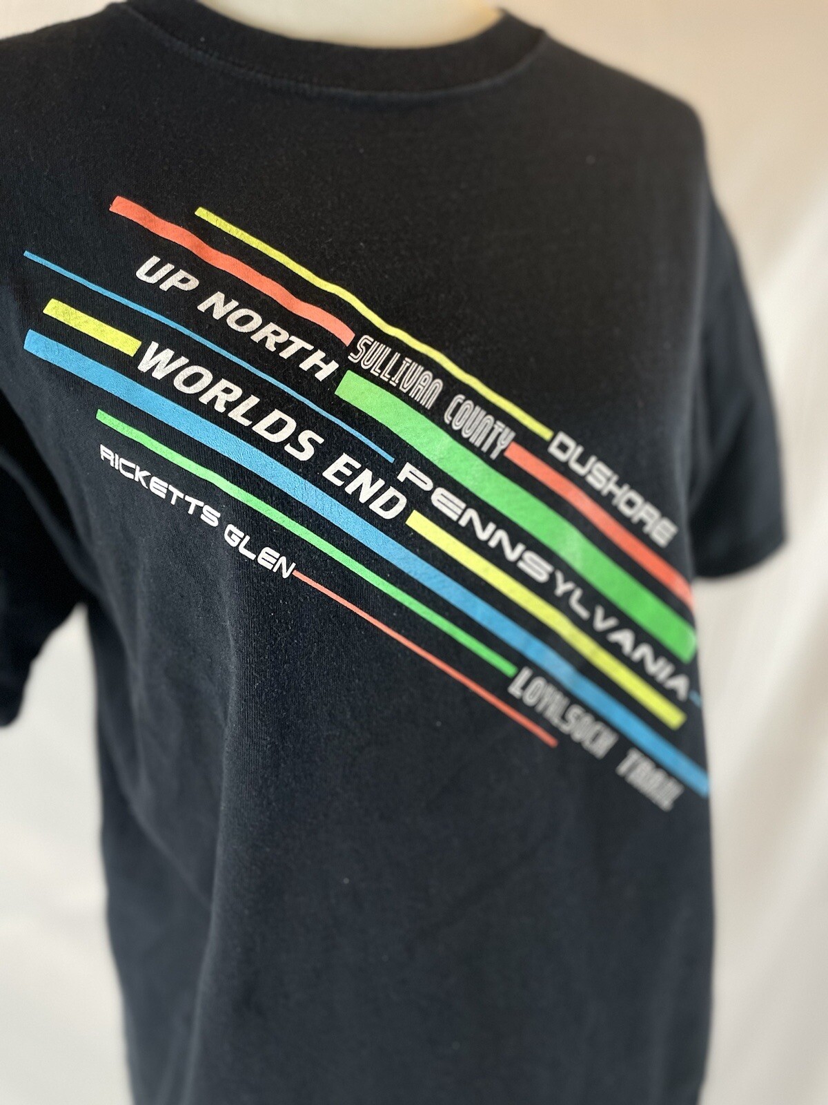 Y2K PENNSYLVANIA Black T Shirt Top Up North Worlds End Size M neon PA FOX RETRO gallery