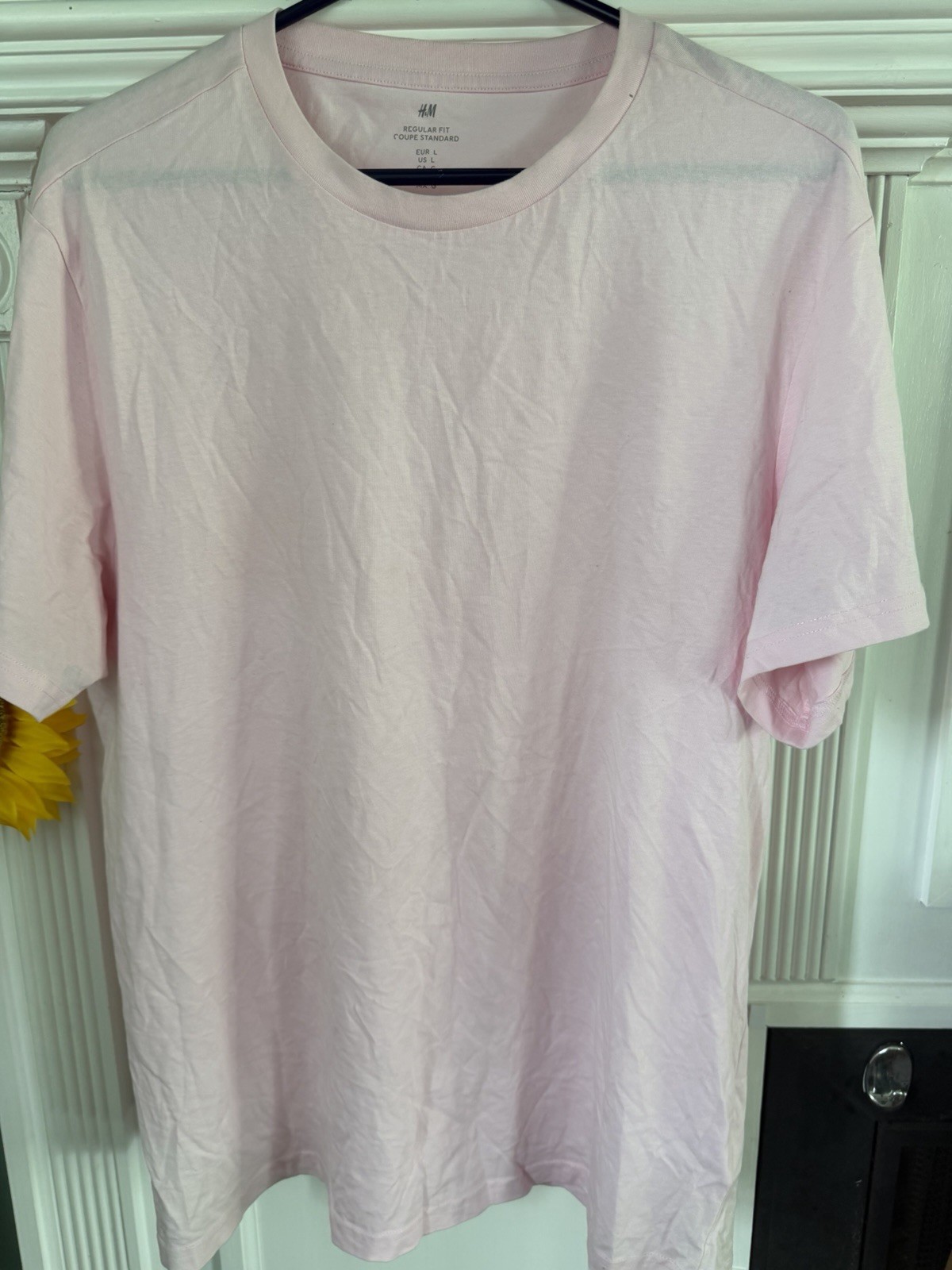 H&M Men’s L Pink Solid Regular Fit Crew Neck Short Sleeve T-Shirt