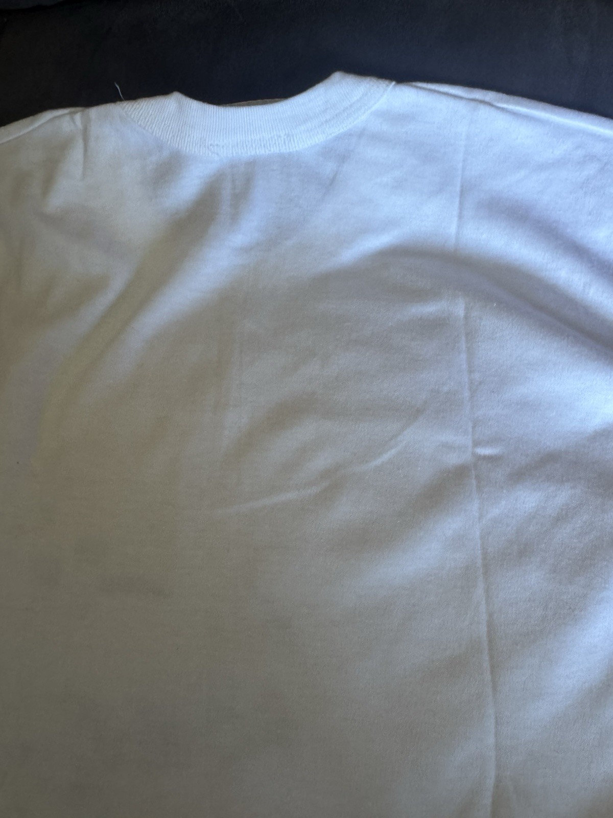 Vintage Golden Wheel Panda Graphic Tee Adult Size 42 Nature 70s 80s China gallery
