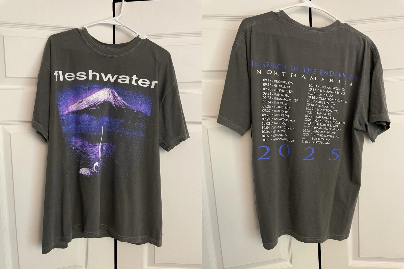 Fleshwater Band In Search Of The Endless Sky 2 Sided T Shirt Full Size S-5XL gallery
