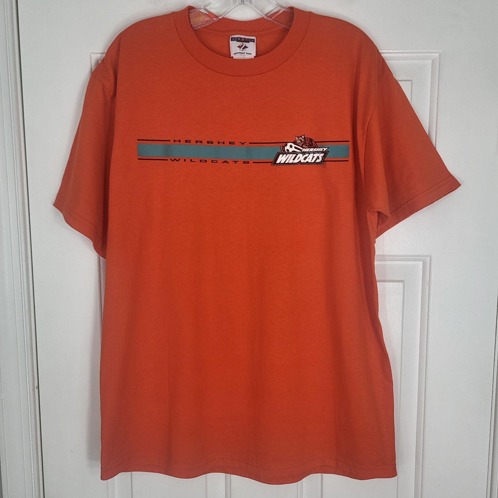 Vintage 90’s Hershey Wildcats T-Shirt Adult L USL Soccer PA