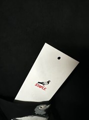 Staple Pigeon Embroidered Pocket Tee (2021) Size XXL / Fits like an XL