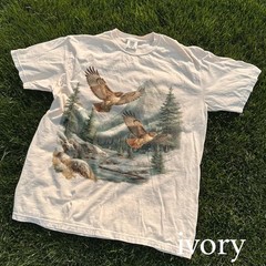 Vintage Hawk Wildlife Graphic Tee Mountain Nature Art Outdoor Gift Shirt