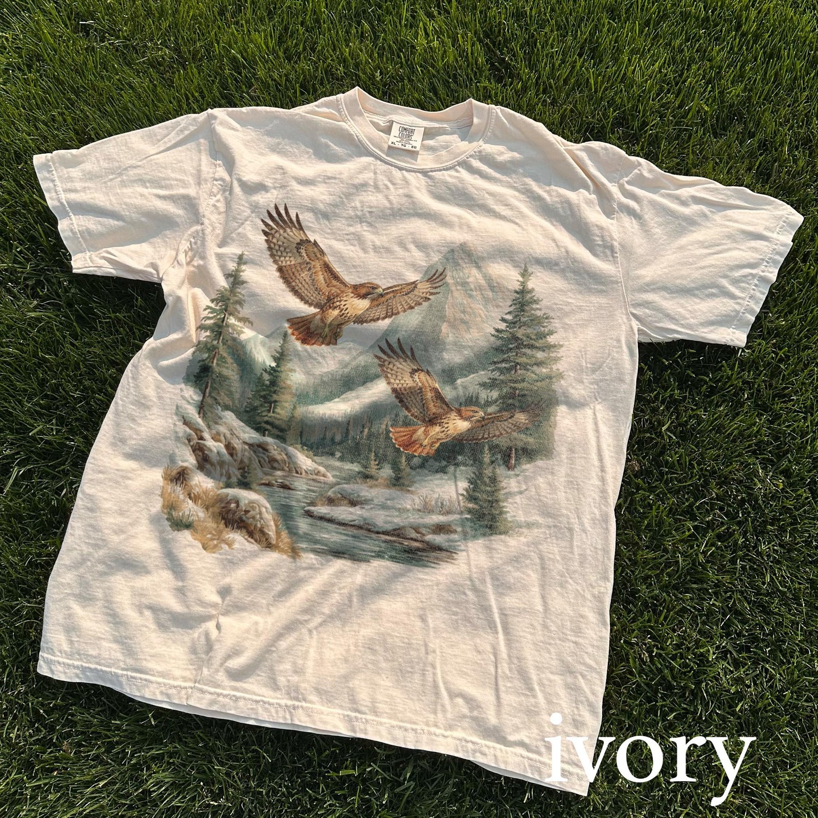 Vintage Hawk Wildlife Graphic Tee Mountain Nature Art Outdoor Gift Shirt gallery