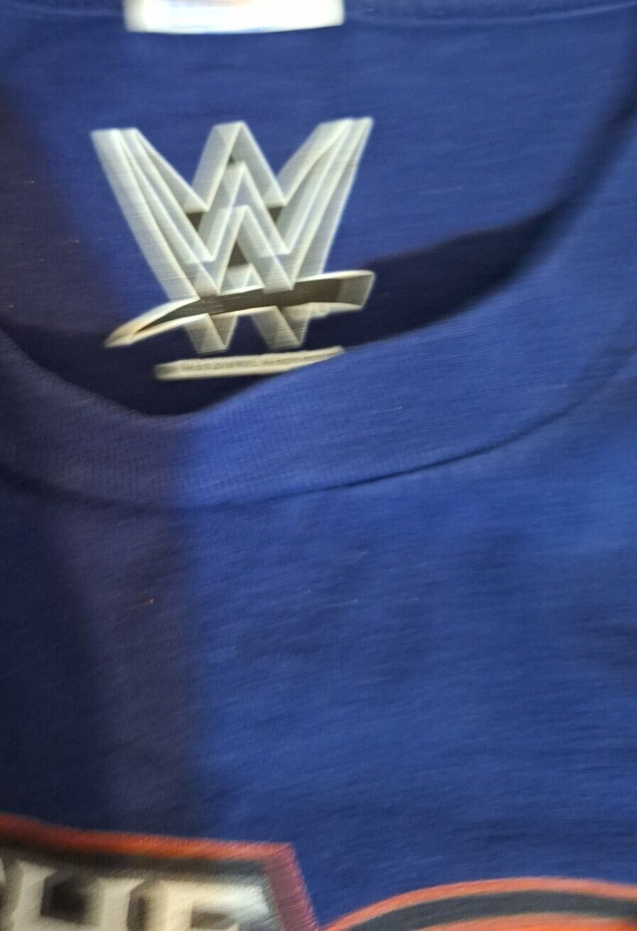 WWE 2018 Rey Mysterio Master of the 619 Wrestling T Shirt Blue Size M gallery