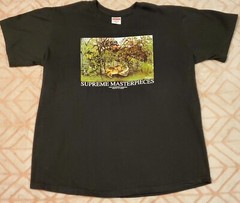 SUPREME “Supreme Masterpieces” Black t shirt M SS20 USA streetwear skatewear