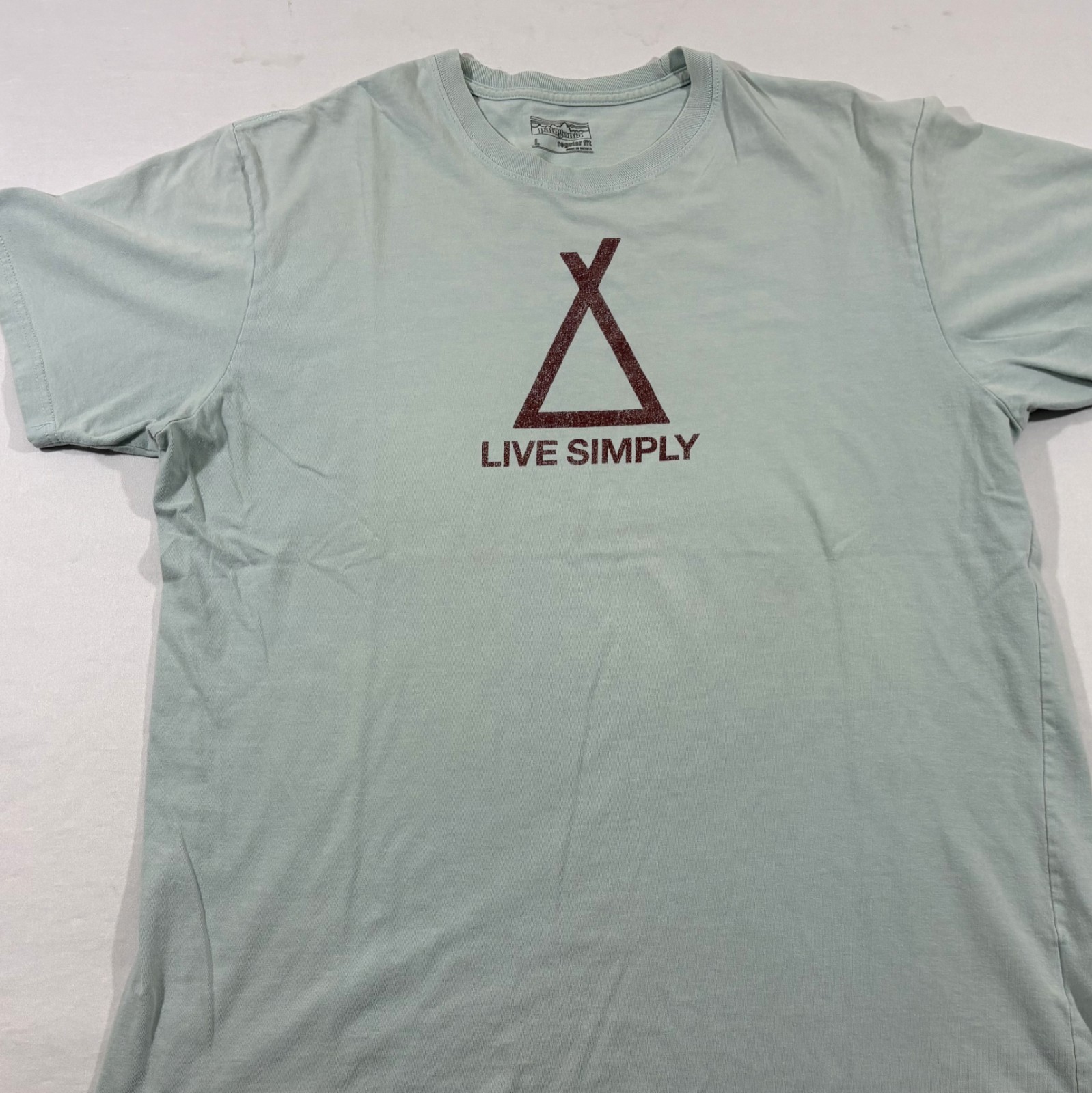 Patagonia Mens Live Simply Tent Life Short Sleeve Cotton T-Shirt Tubular Blue L gallery