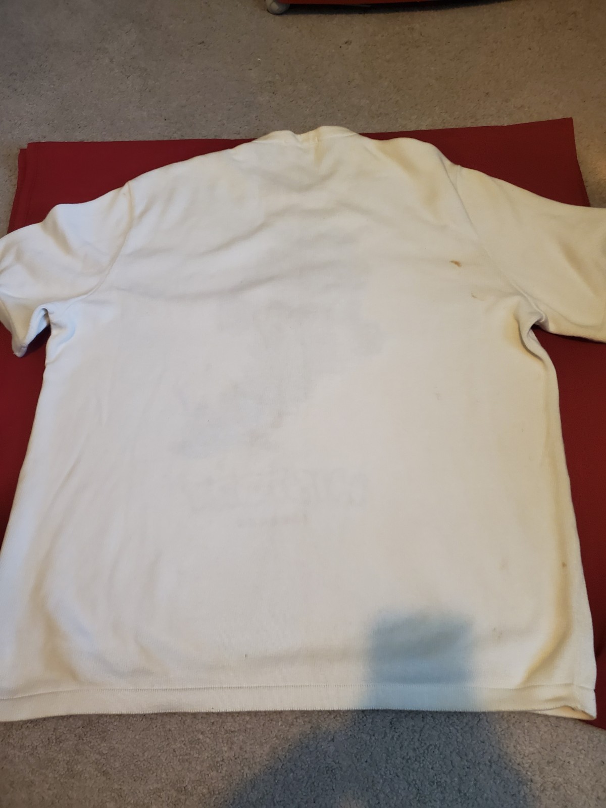 VINTAGE HISTORY ICEBERG LOONEY TUNES TASMANIAN DEVIL SHORT SLEEVED SHIRT SWEATER gallery