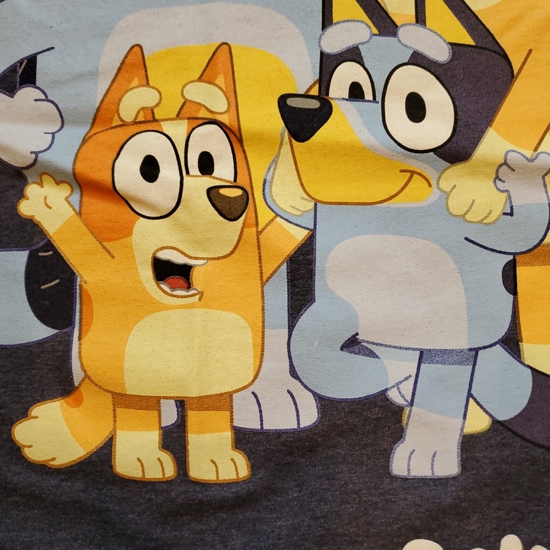 Bluey Family T-Shirt Unisex Medium Blue 50/50 Cotton-Poly Short Sleeves gallery