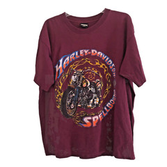 VTG Harley Davidson Spellbound Flame T-shirt Size XL Single Stitch USA Fun Wear