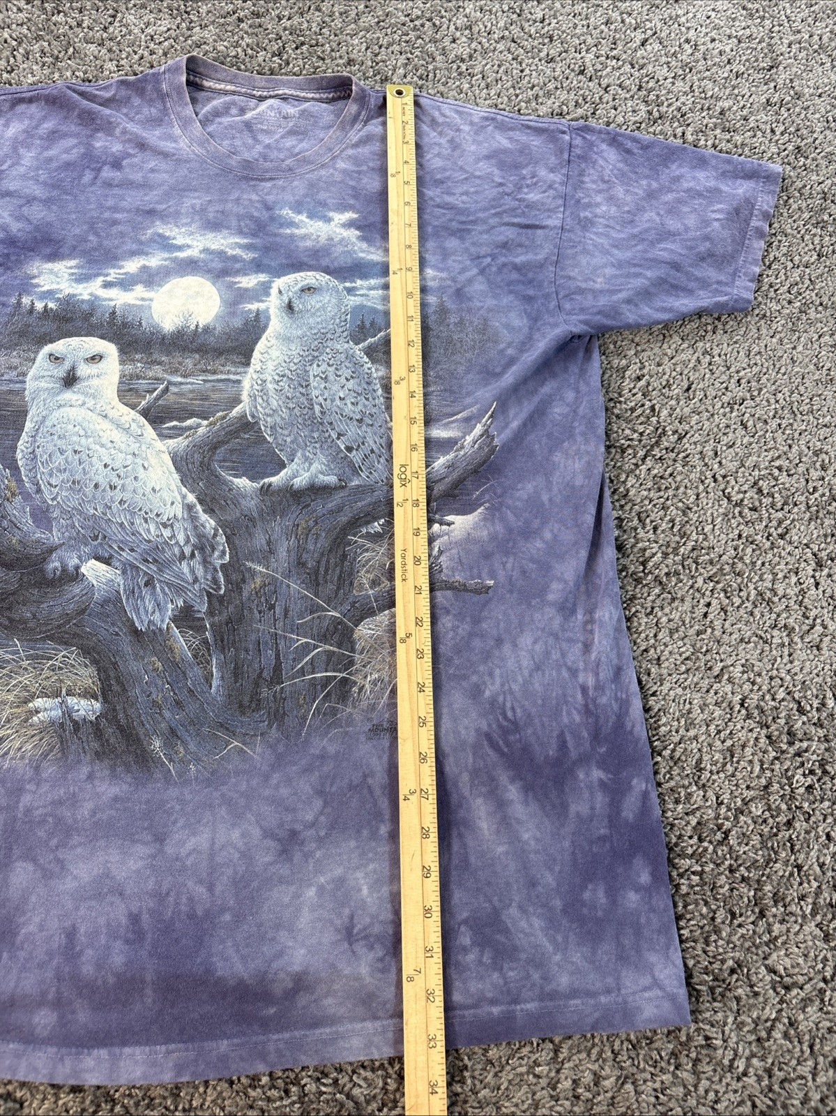 Vtg The Mountain T Shirt Mens 2XL Blue Nature Owl Woods Hunting Blue 1999 gallery