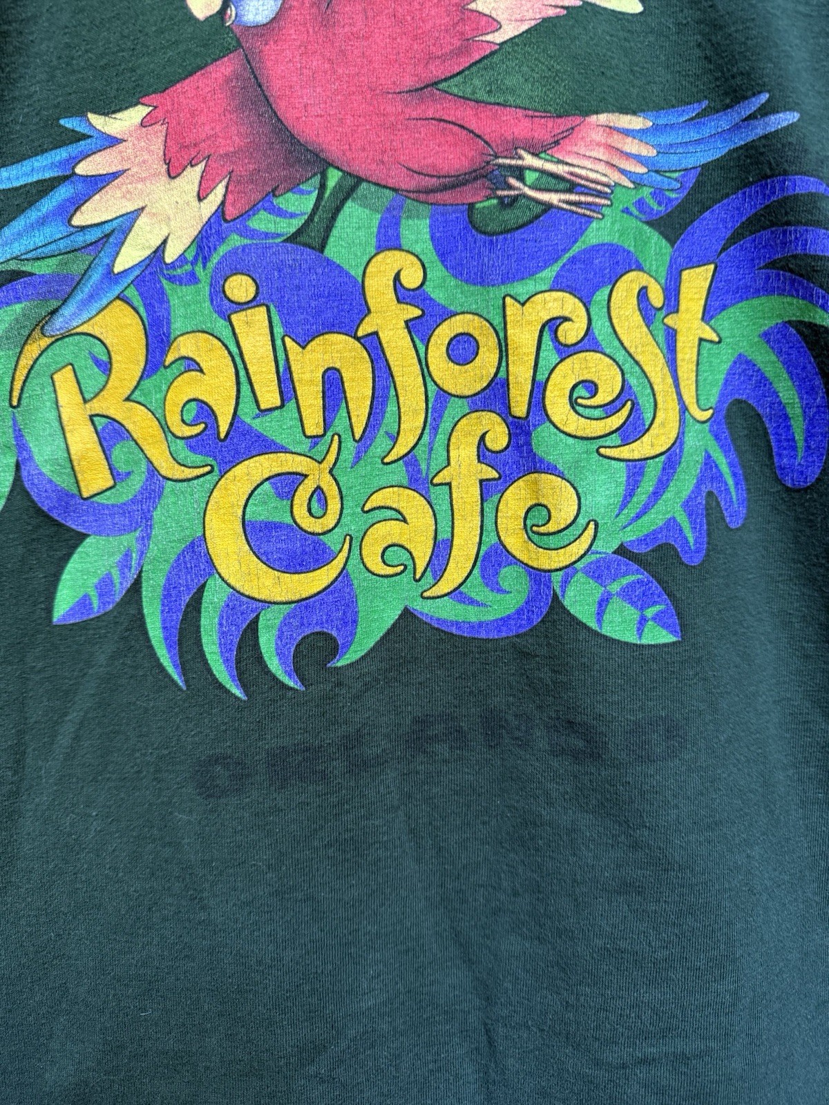 Vintage 90s Rainforest Cafe Orlando Men’s T Shirt Green Size XL USA gallery