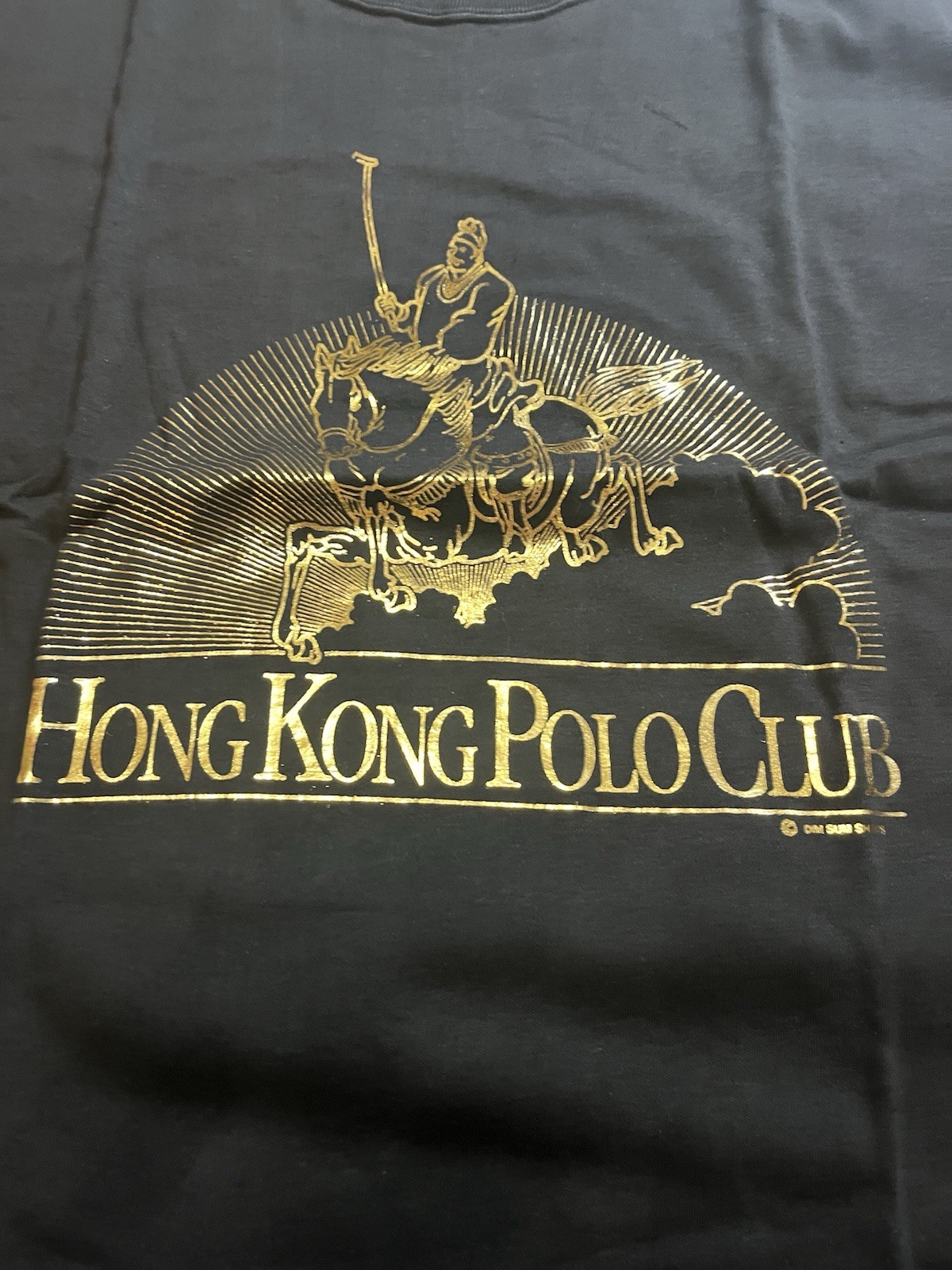 Dim Sum Hong Kong Polo Xl Tshirt Vintage New With Tags gallery