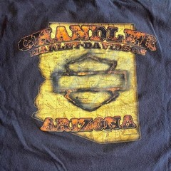 Harley Davidson Chandler Arizona Eagle Graphic T-Shirt Black Mens XL Bravado