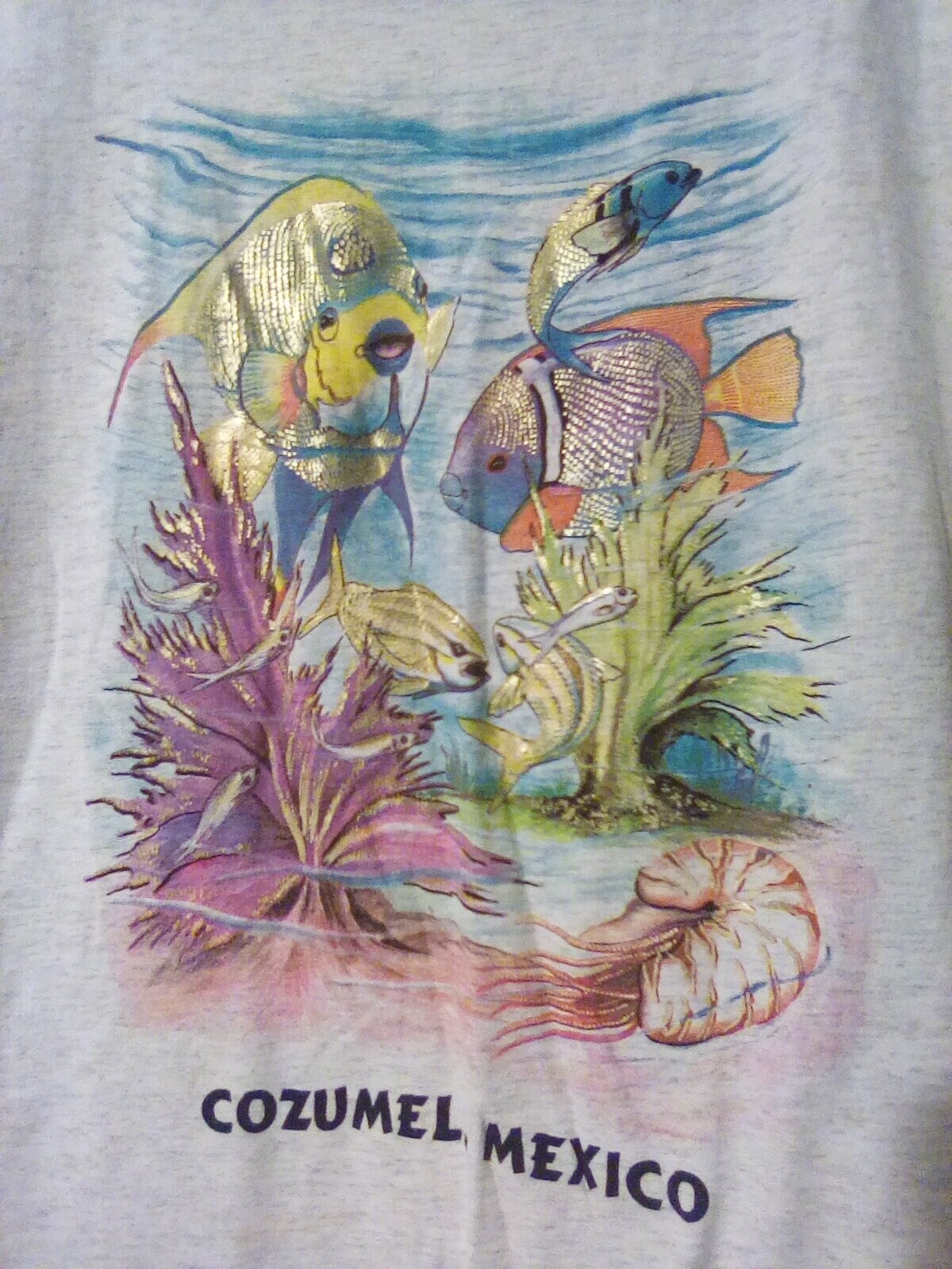 NEW Cozumel Mexico T Shirt Heather Grey with Tropical Fish