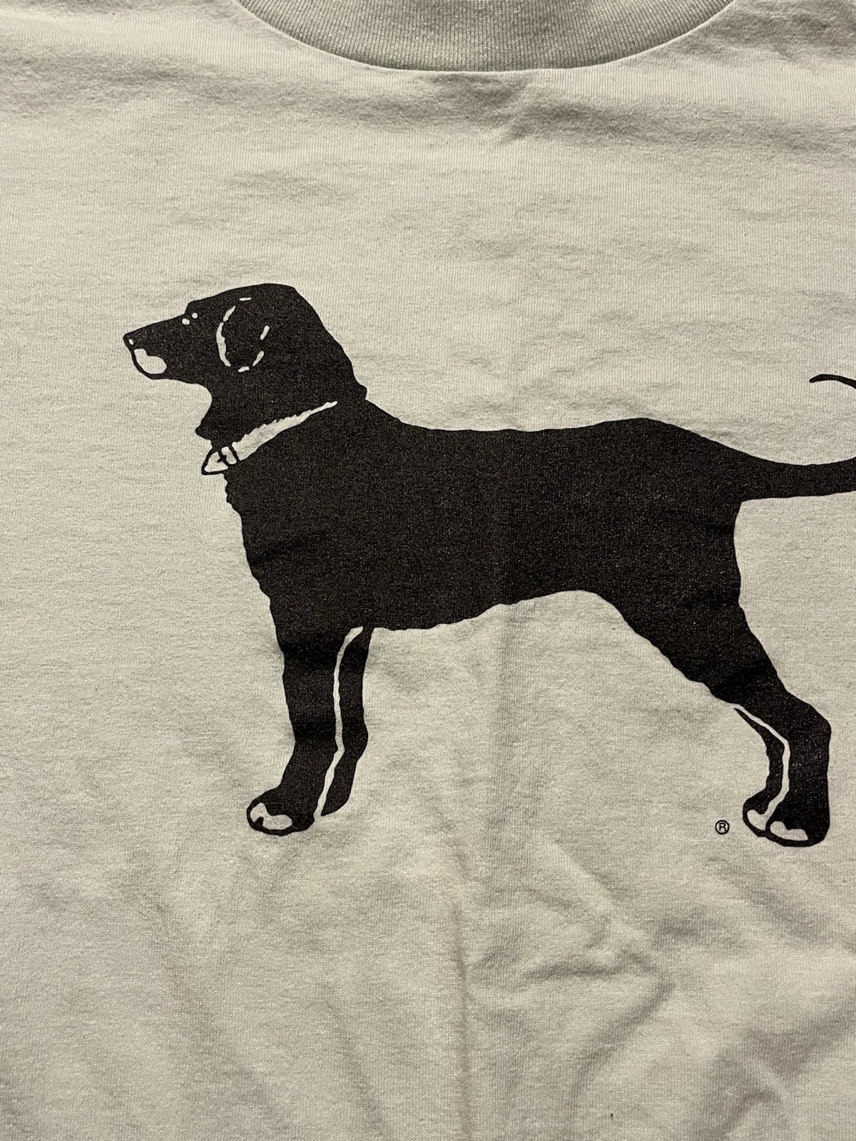 Vintage Martha's Vineyard The Black Dog 1995 T-shirt Size M Mint Green BEACH VTG gallery
