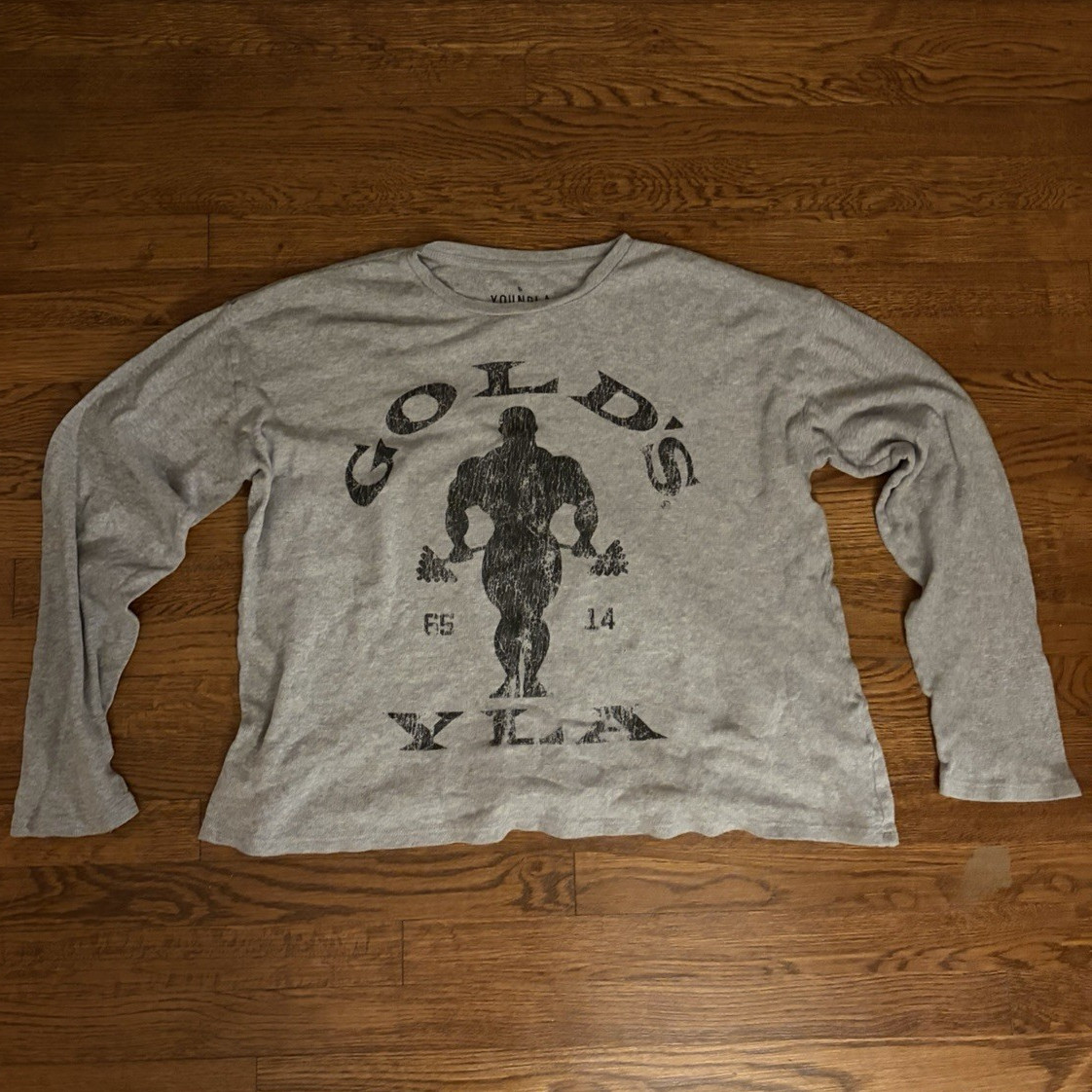 YoungLA X Golds Gym Men’s L Gray Crew Neck Long Sleeve Logo T-Shirt Regular
