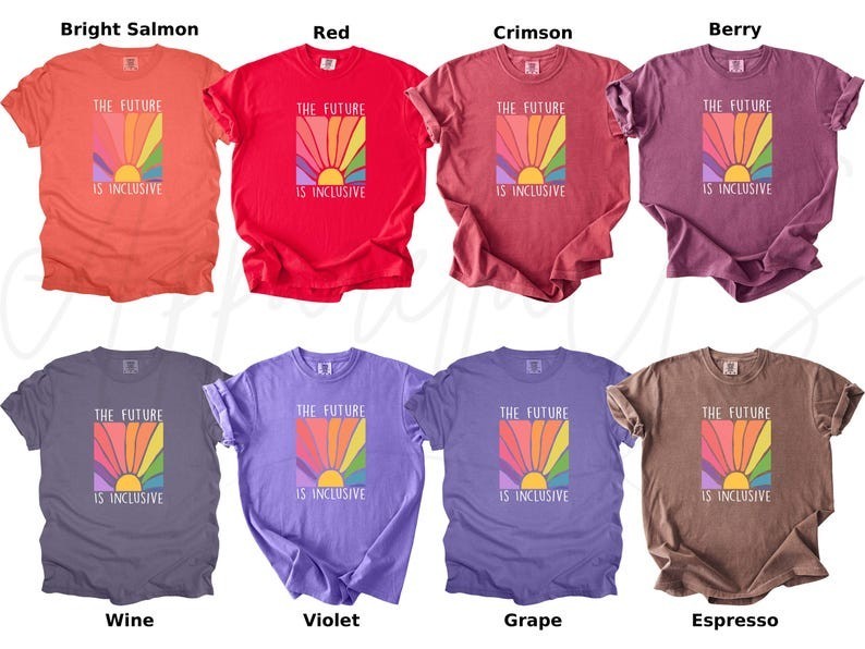 Comfort Colors The Future is Inclusive Shirt, Rainbow Shirt, Human Rights Shirt gallery