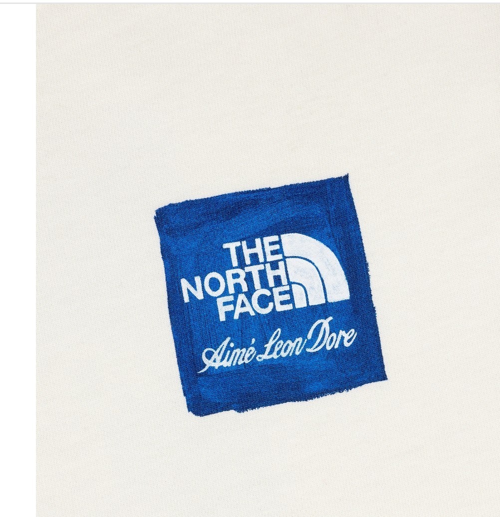 Aimé Leon Dore/ALD The North Face Logo Tee Medium (*New) gallery